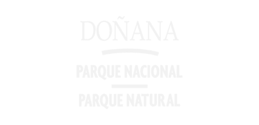 Donana2-1.png